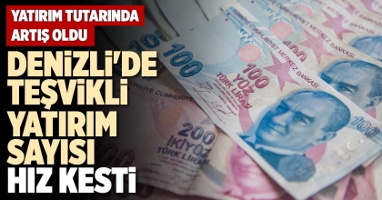 DENİZLİ'DE TEŞVİKLİ  YATIRIM SAYISI HIZ KESTİ