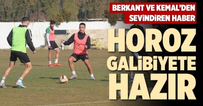 HOROZ GALİBİYETE HAZIR