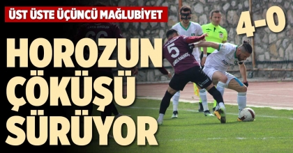 HOROZUN ÇÖKÜŞÜ SÜRÜYOR