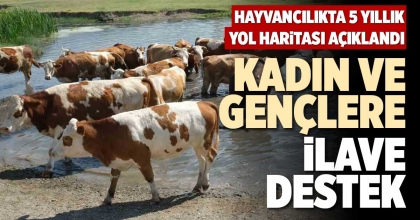 KADIN VE GENÇLERE İLAVE DESTEK