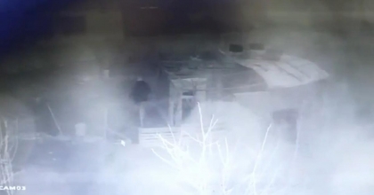 KÜMES HIRSIZININ RAHAT TAVIRLAR SERGİLEYEREK TAVUK ÇALMASI GÜVENLİK KAMERASINDA