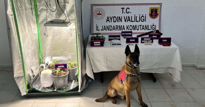 KUŞADASI’NDA UYUŞTURUCU OPERASYONU