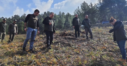 MÜDÜR ÜÇGÜL SAHAYI KARIŞ KARIŞ DOLAŞIYOR