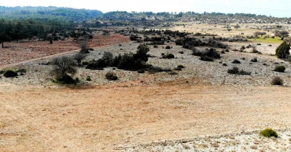 MUĞLA'NIN YÜKSEK KESİMLERİ, BU YIL KAR YÜZÜ GÖRMEDİ