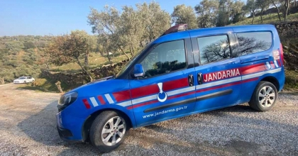 NAZİLLİ’DE BİR BAHÇEDEN 150 KİLO ZEYTİN ÇALINDI  