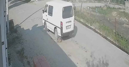 ON GÜN ÖNCE DOĞUM YAPAN KÖPEĞİ EZİP OLAY YERİNDEN KAÇTI 
