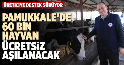 PAMUKKALE’DE 60 BİN HAYVAN ÜCRETSİZ AŞILANACAK