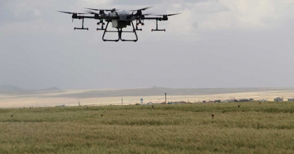 SÖKELİ ÜRETİCİLERE DRONE İLE İLAÇLAMA UYARISI  