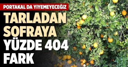 TARLADAN SOFRAYA YÜZDE 404 FARK