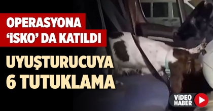 UYUŞTURUCUYA 6 TUTUKLAMA
