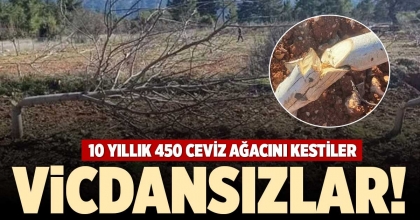 VİCDANSIZLAR!