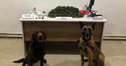 ZEHİR TACİRLERİ ESRAR VE TARİHİ ESERLERLE YAKALANDI