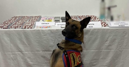 ZEHİR TACİRLERİNİ JANDARMA YAKALADI  