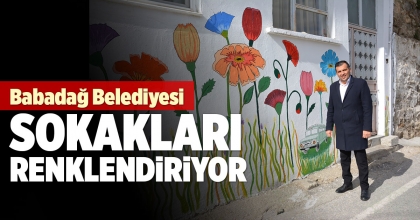 Babadağ Belediyesi sokak boyama çalışmaları ile ilçeyi renklendiriyor