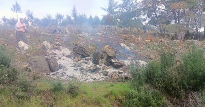 AĞAÇLARI KESİP YAKTILAR: 20 GÖZALTI