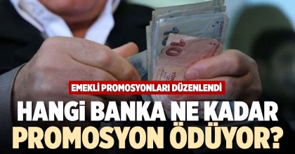 HANGİ BANKA NE KADAR PROMOSYON ÖDÜYOR?