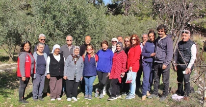 ALMANLAR VE İNGİLİZLER ZEYTİN BUDAMAYI ÖĞRENDİ  