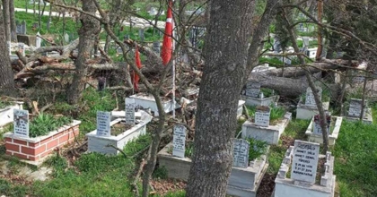 ASIRLIK MEŞELER MEZARLARIN ÜZERİNE DÜŞTÜ