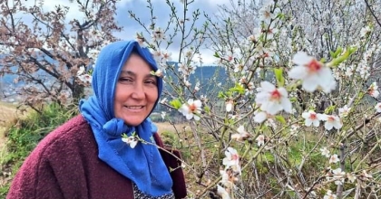 MEYVE AĞAÇLARI ÇİÇEK AÇTI
