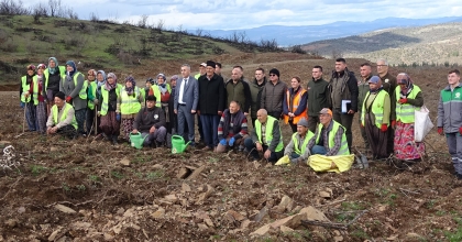 YANAN ORMANLIK ALANLAR AĞAÇLANDIRILIYOR