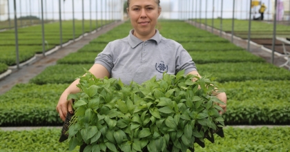 ÇERÇİOĞLU ATA TOHUMLARI PROJESİNİN KAPASİTESİNİ YÜKSELTTİ