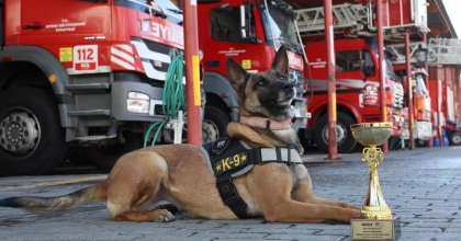 ARAMA KURTARMA KÖPEĞİ ZEYNA'YA ÖDÜL