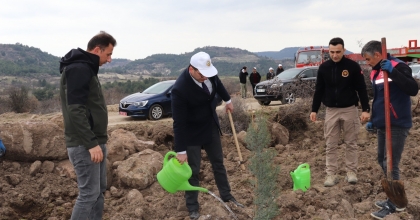 BADEM FİDANLARI DİKİLDİ