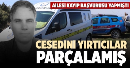 CESEDİNİ YIRTICILAR PARÇALAMIŞ