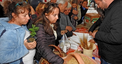ÇEŞME'DE YEREL TOHUM TAKAS ŞENLİĞİ