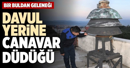 DAVUL YERİNE, CANAVAR DÜDÜĞÜ