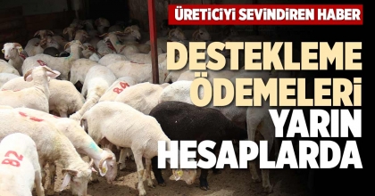 DESTEKLEME ÖDEMELERİ YARIN HESAPLARDA