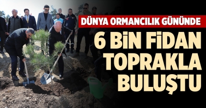 DÜNYA ORMANCILIK GÜNÜNDE 6 BİN FİDAN TOPRAKLA BULUŞTU