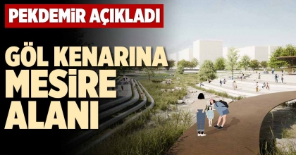 GÖL KENARINA MESİRE ALANI