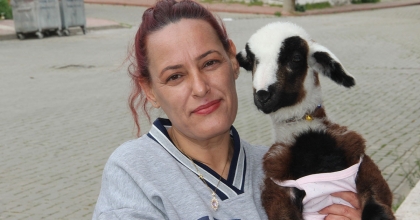 HASRET KALDIĞI BEBEK SEVGİSİNİ KUZUYLA GİDERDİ