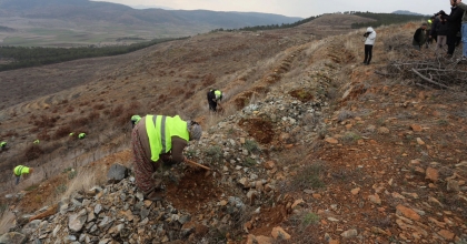 HAYRİYE'DE 2020'DE YANAN ALAN YEŞİLLENİYOR