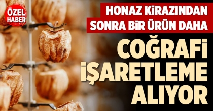 HONAZ KİRAZINDAN SONRA BİR ÜRÜN DAHA COĞRAFİ İŞARETLEME ALIYOR