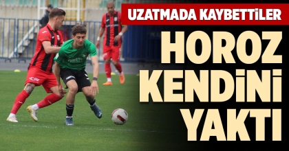 HOROZ KENDİNİ YAKTI