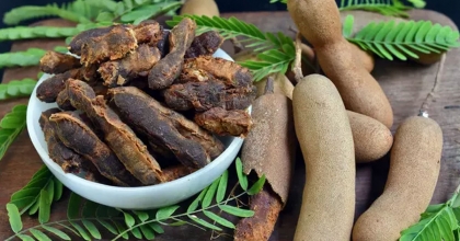 İBN-İ SİNA'DAN RAMAZAN AYINA ÖZEL BİN YILLIK REÇETE