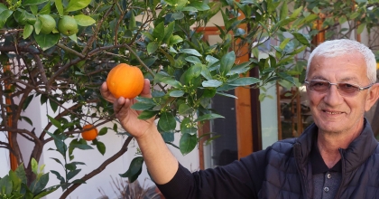 İKLİM DEĞİŞİKLİĞİ MEYVELERİ DE ŞAŞIRTTI