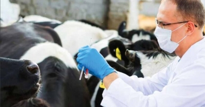 BELEDİYEYE VETERİNER HEKİM KADROSU