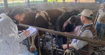 KOÇARLI’DA HAYVAN ÇİFTLİKLERİ KONTROL ALTINDA  