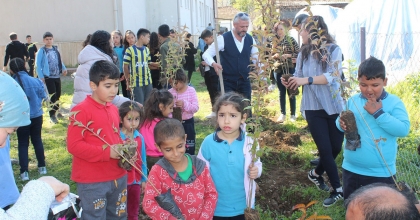 KÖYCEĞİZ'DE OKUL BAHÇESİ KEÇİBOYNUZU FİDANLARI İLE DONATILDI