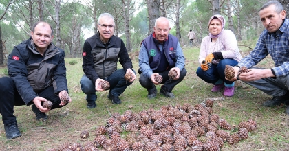 KOZALAK VERİMİ YÜZDE 20'DEN YÜZDE 60'A ÇIKTI