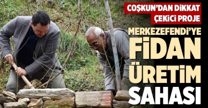 MERKEZEFENDİ’YE FİDAN ÜRETİM SAHASI