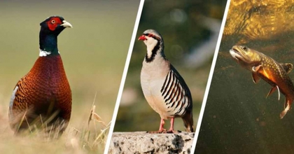 ONLAR DOĞANIN DEVAMI İÇİN ÖNEMLİ