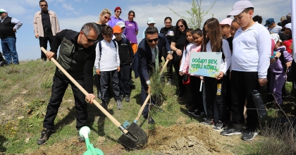 PAMUKKALE’DE ÖĞRENCİLER 300 FİDANI TOPRAKLA BULUŞTURDU