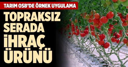 TARIM OSB’DE ÖRNEK UYGULAMA