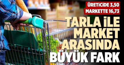 TARLA İLE MARKET ARASINDA BÜYÜK FARK