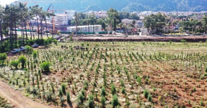 MARMARİS KÜLLERİNDEN DOĞUYOR