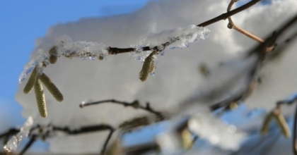 ZİRAİ DON TEHLİKESİNE KARŞI UYARI